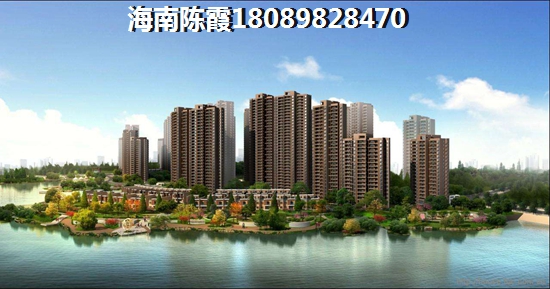 是什么造成了现在的万宁兴隆镇高房价~ 是什么造成了现在的万宁兴隆镇高房价~