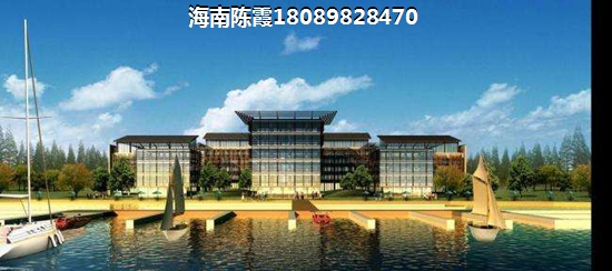 乐东九所哪里的房子醉便宜? 乐东九所哪里的房子醉便宜?