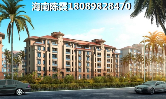 目前琼海新房是否具有touzi价纸？
